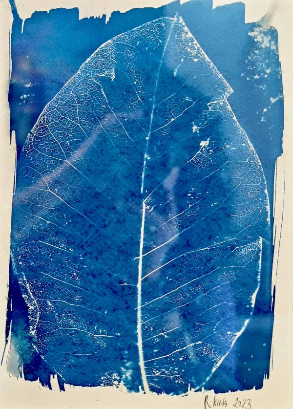 - a Mounted Picture by Rosemary King, measuring 28 x 20 cm (H x W) framed at 44 x 36 cm £75